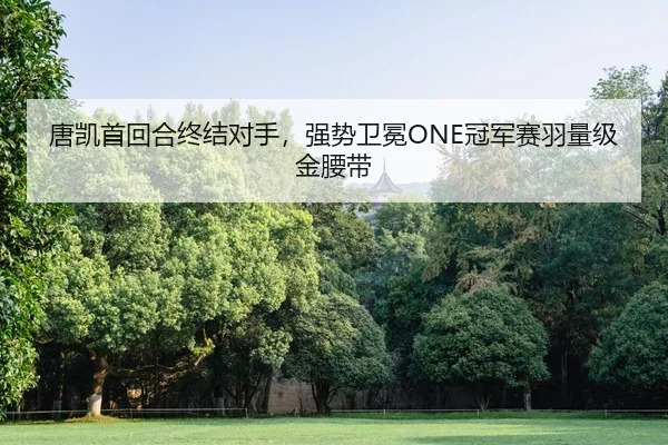 tang-kai-shou-hui-he-zhong-jie-dui-shou-qiang-shi-wei-mian-guan-jun-sai-yu-liang-ji-jin-yao-dai-2-270.jpg