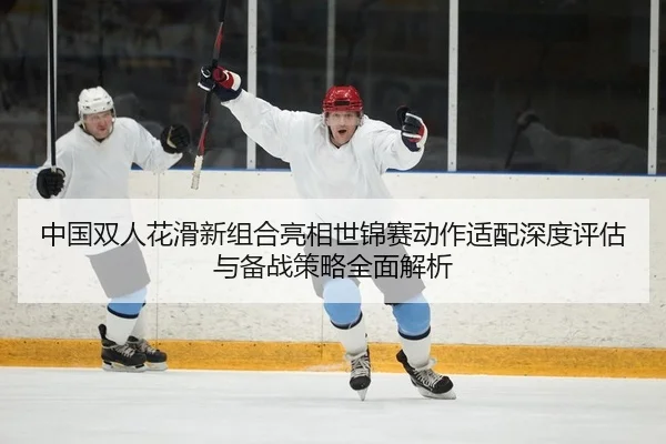 zhong-guo-shuang-ren-hua-hua-xin-zu-he-liang-xiang-shi-jin-sai-dong-zuo-shi-pei-shen-du-ping-gu-yu-bei-zhan-ce-lve-quan-2-845.jpg